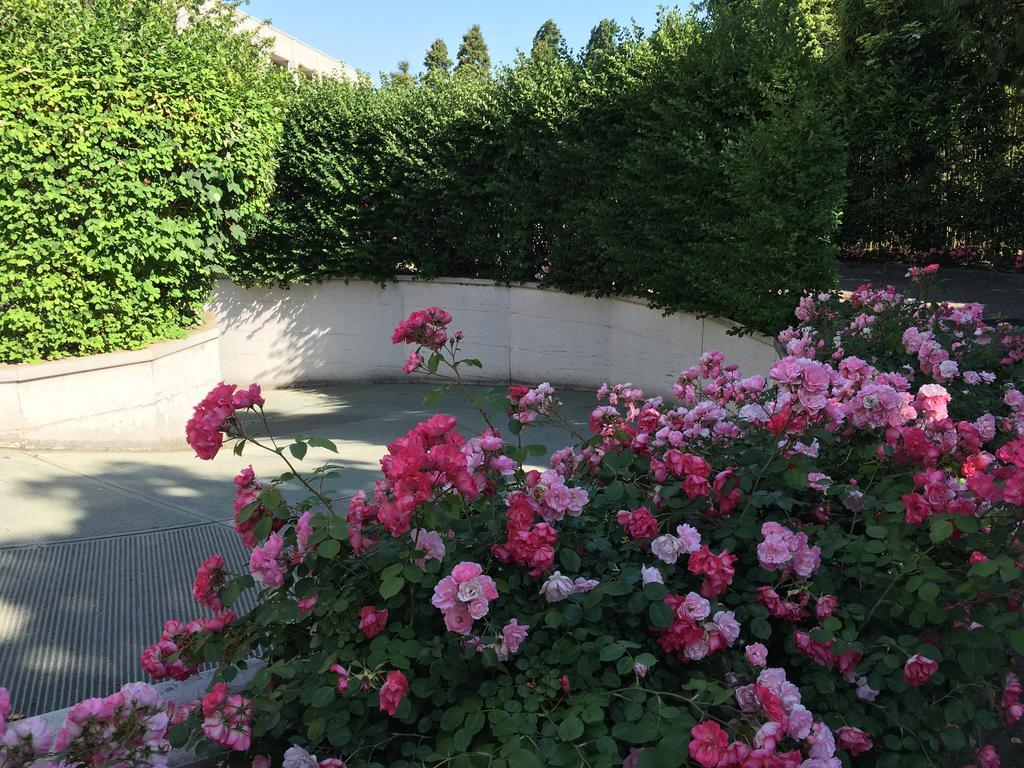 Hotel Ascot Lissone